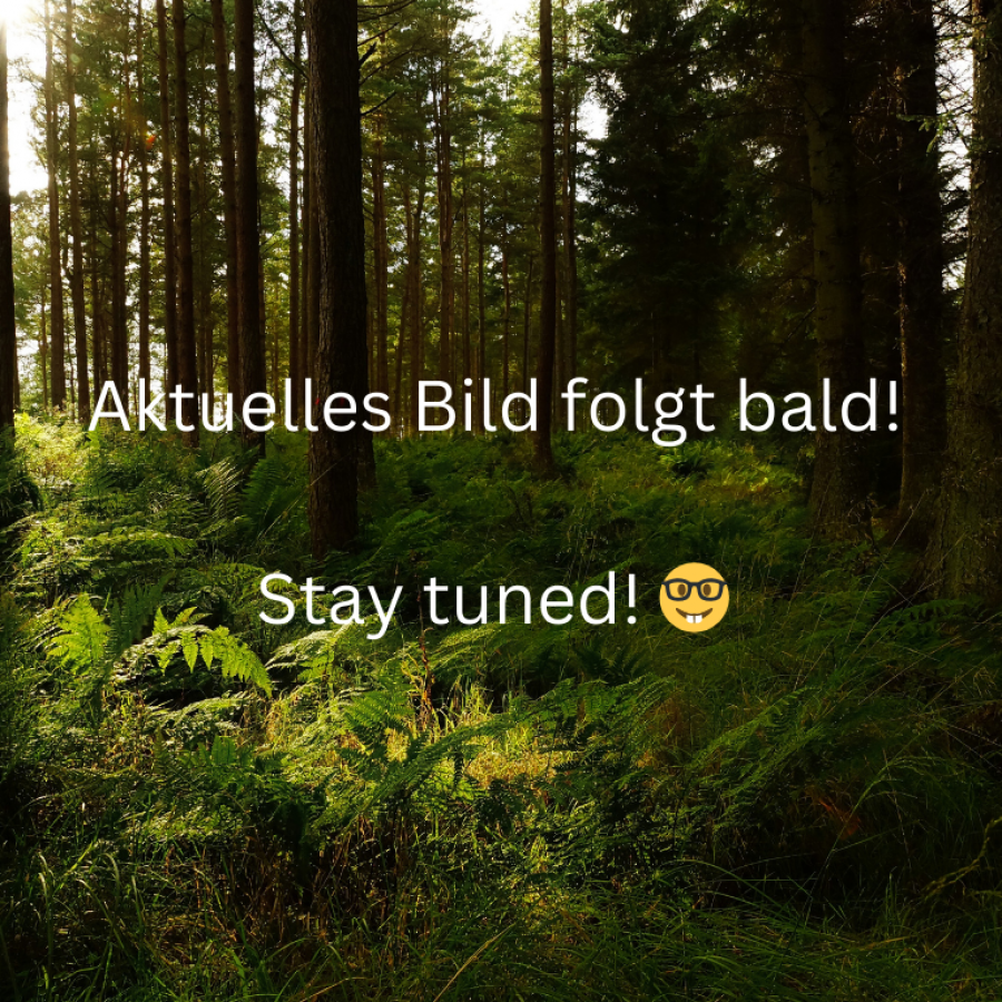 Aktuelles Bild folgt bald! Stay tuned! 🤓
